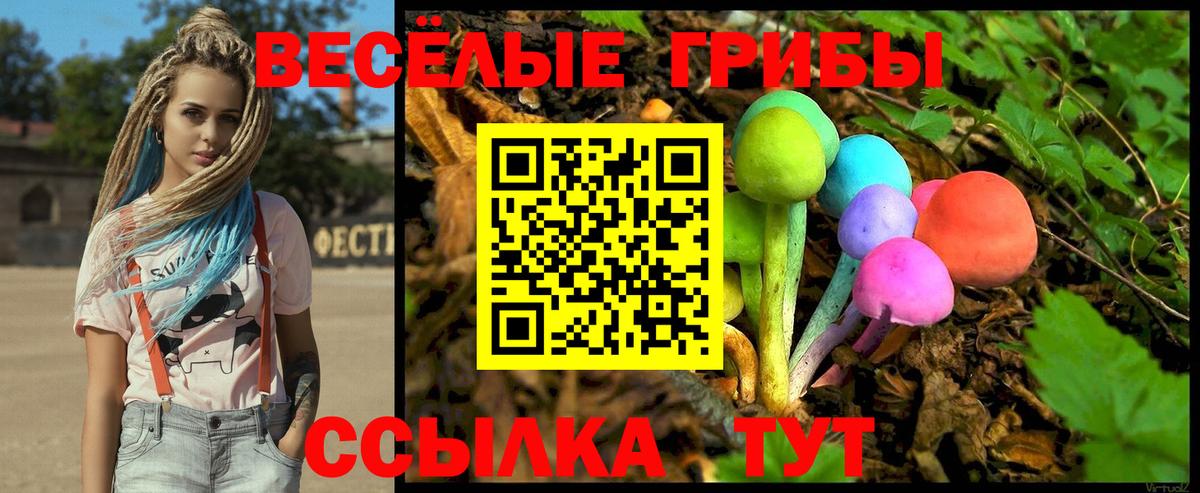 Галлюциногенные грибы GOLDEN TEACHER  Вход с VPN  хочу   Подольск 