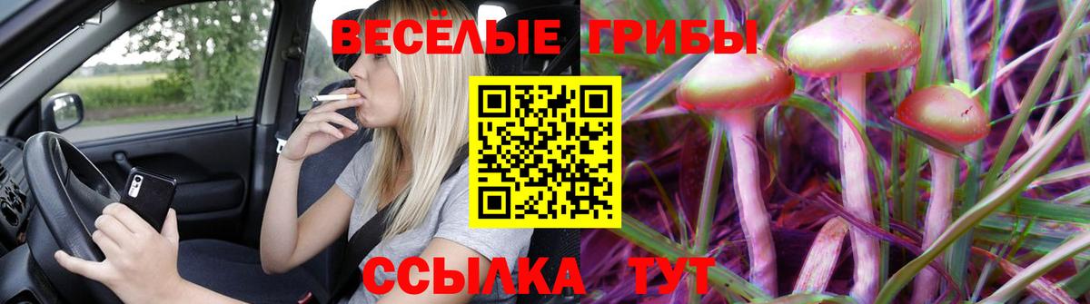 Галлюциногенные грибы Psilocybine cubensis Подольск